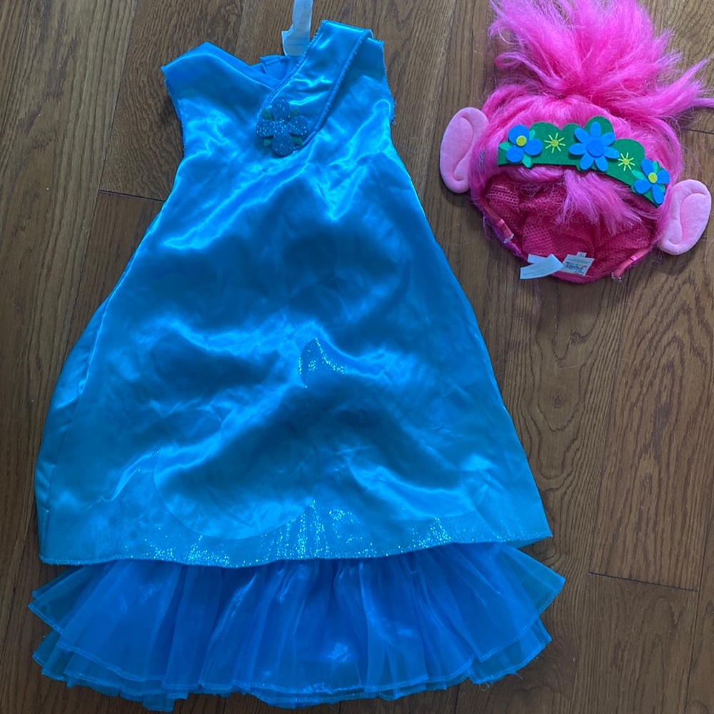 Poppy costume size (4-6)